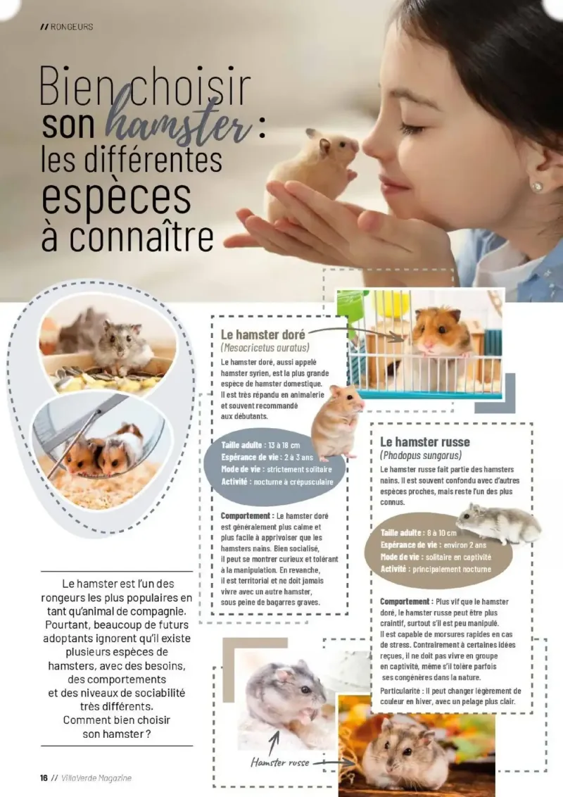 VillaVerde catalogue du 28/05 – page 16