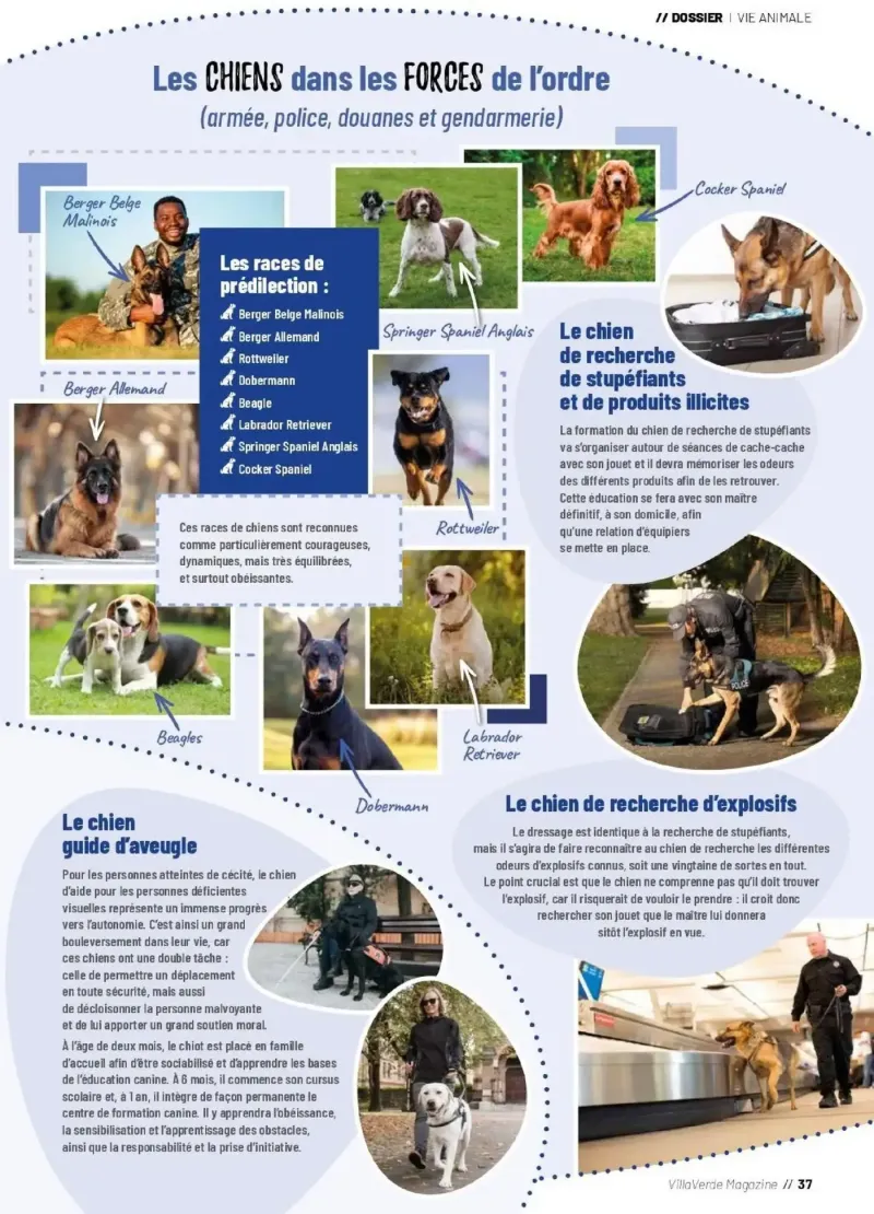 VillaVerde catalogue du 28/05 – page 37