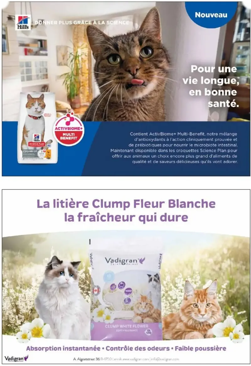 VillaVerde catalogue du 28/05 – page 10