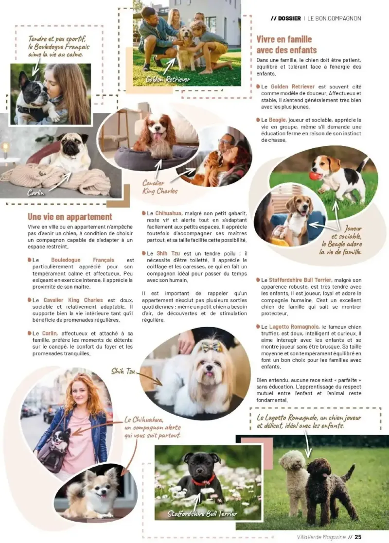 VillaVerde catalogue du 28/05 – page 25