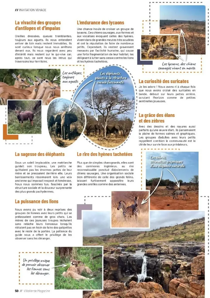 VillaVerde catalogue du 28/05 – page 50