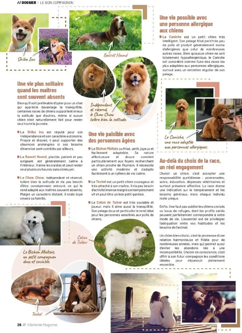 VillaVerde catalogue du 28/05 – page 26