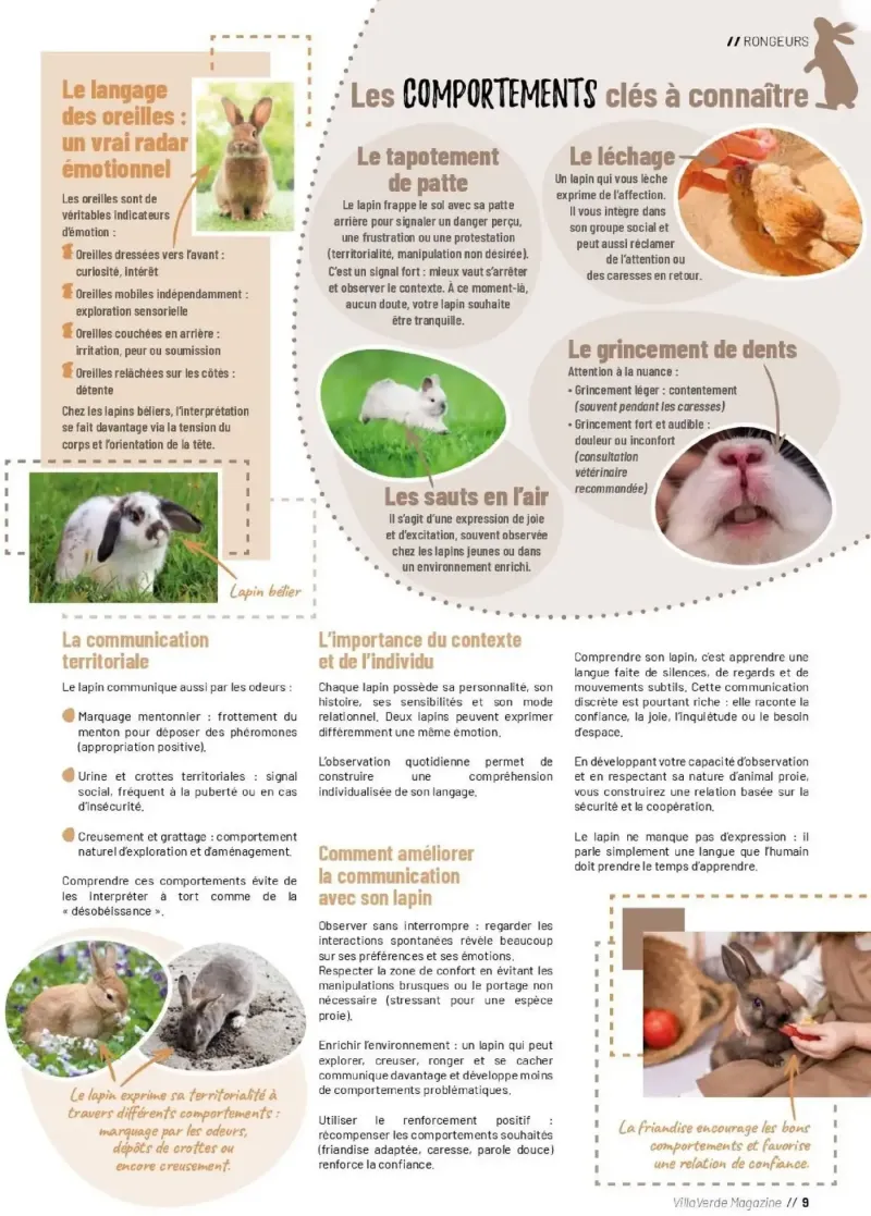 VillaVerde catalogue du 28/05 – page 9