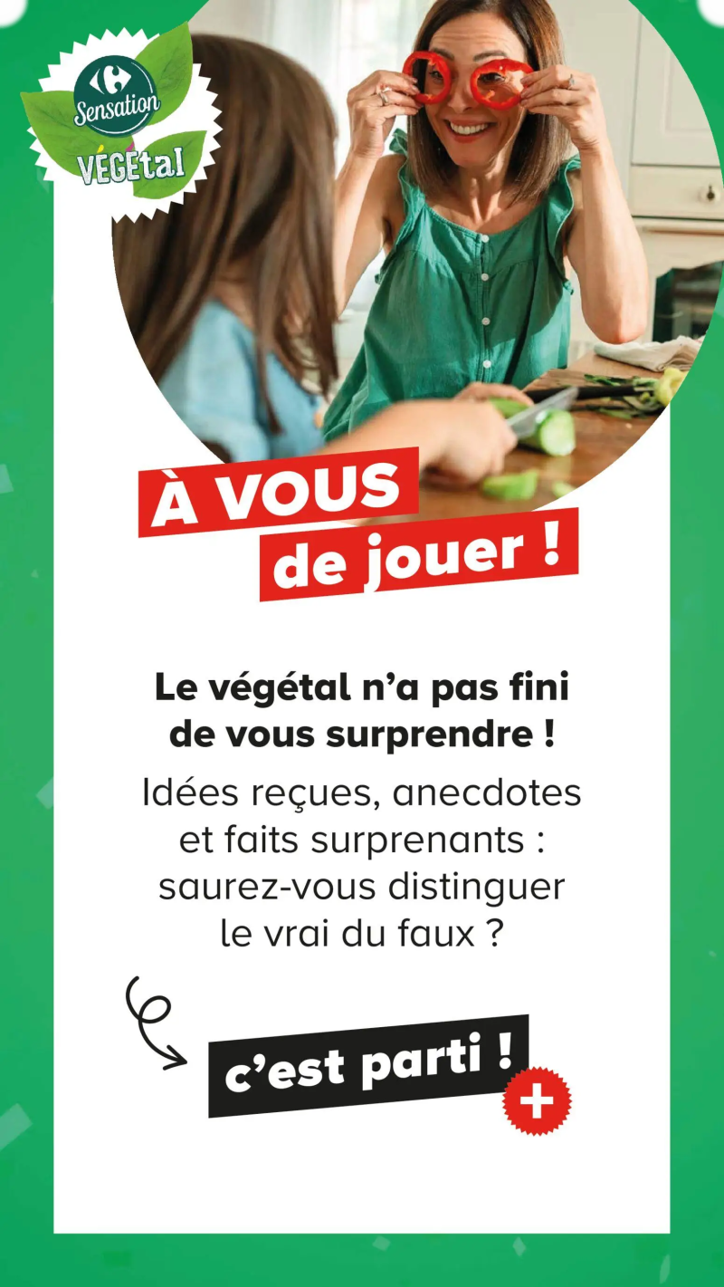 Carrefour catalogue du 07/07 – page 22