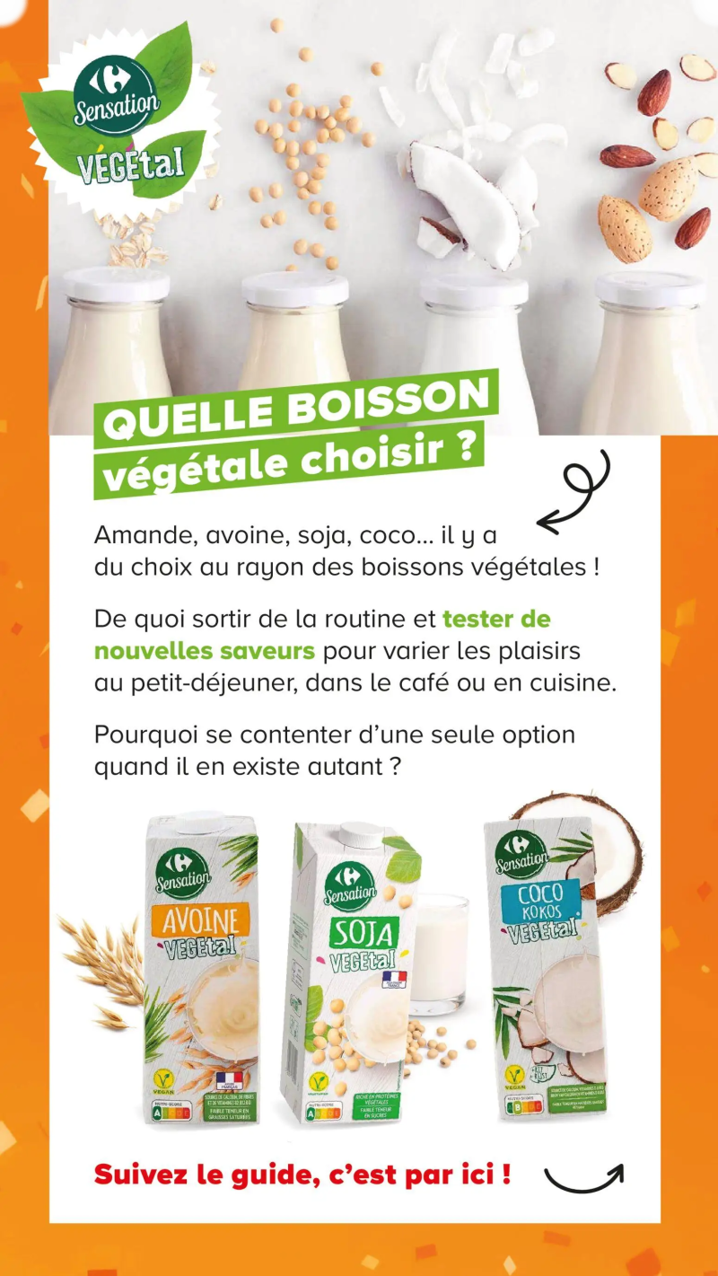 Carrefour catalogue du 07/07 – page 13