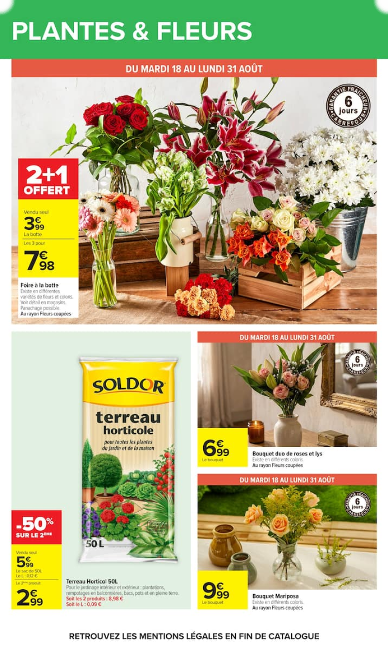 Carrefour catalogue du 17/08 au 01/09/2026 – page 52