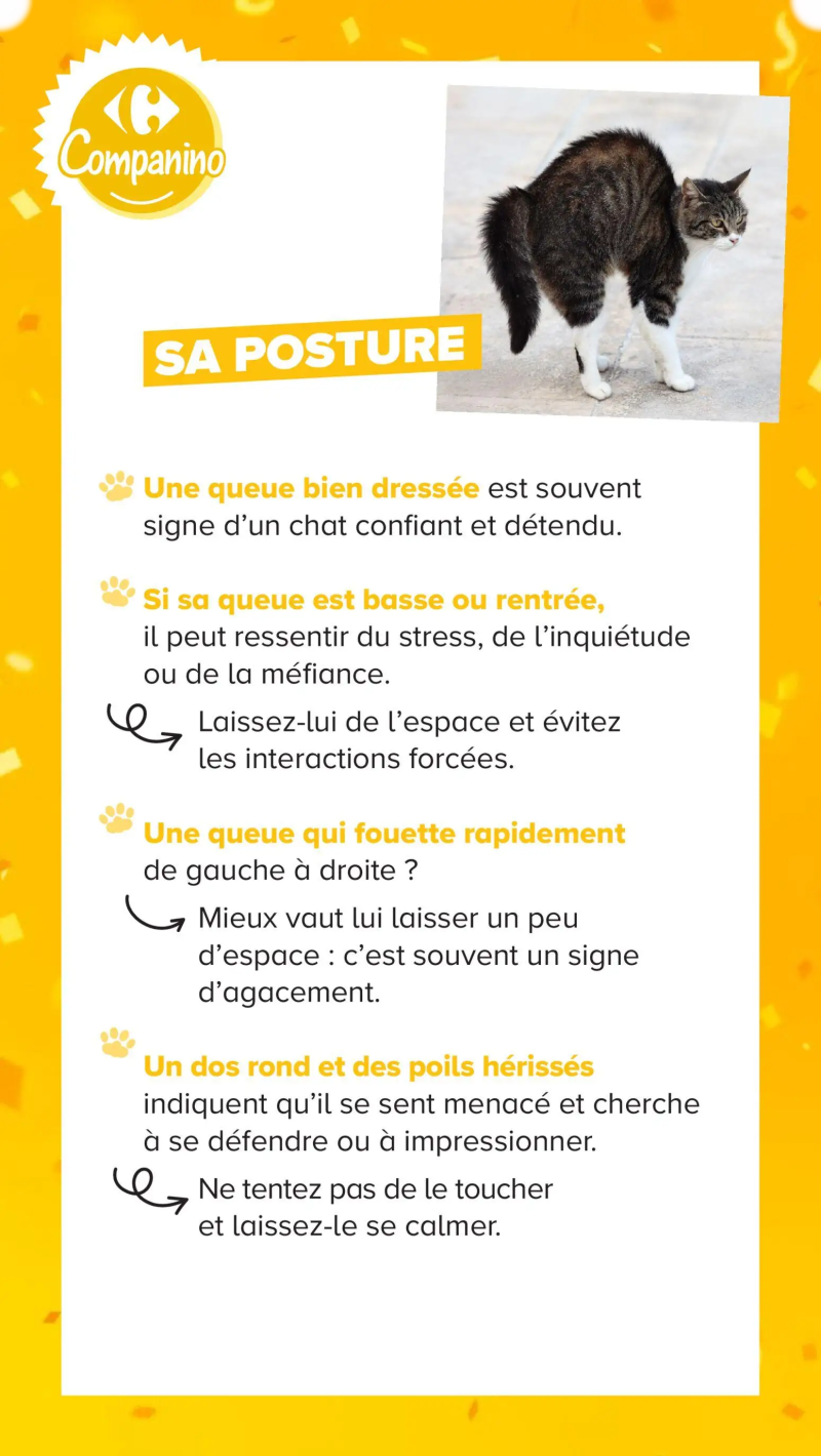Carrefour Market catalogue du 04/08 – page 14