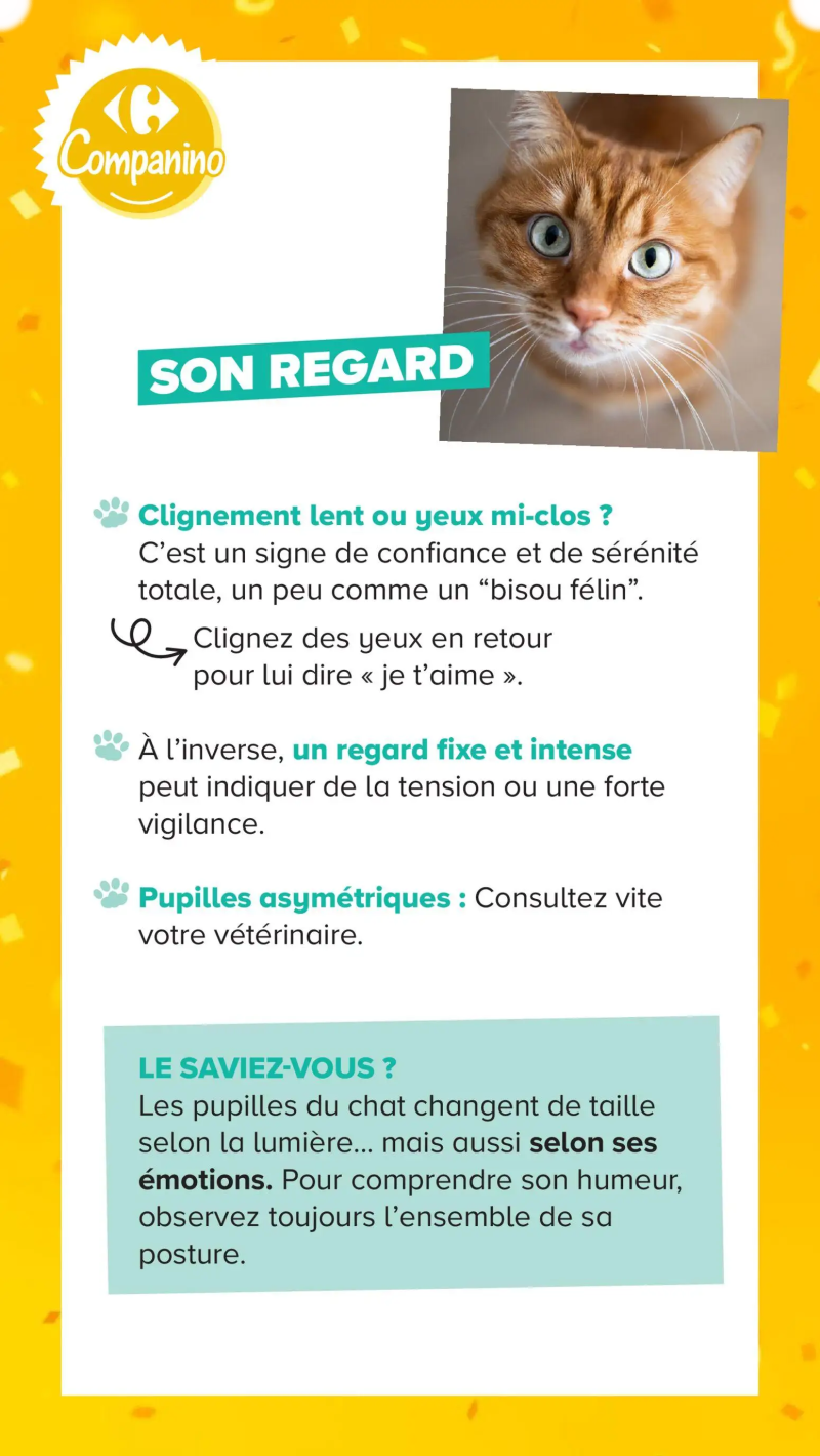 Carrefour Market catalogue du 04/08 – page 15