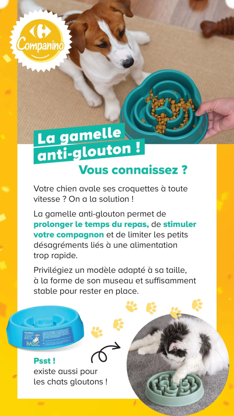 Carrefour catalogue du 04/08 – page 21