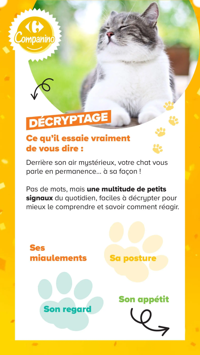 Carrefour catalogue du 04/08 – page 12