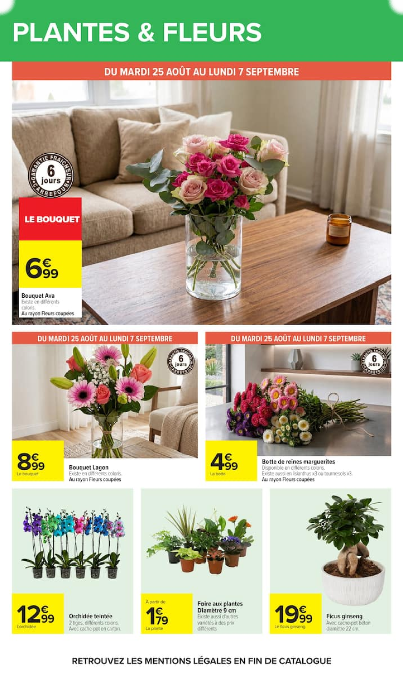 Carrefour catalogue du 24/08 au 08/09/2026 – page 57