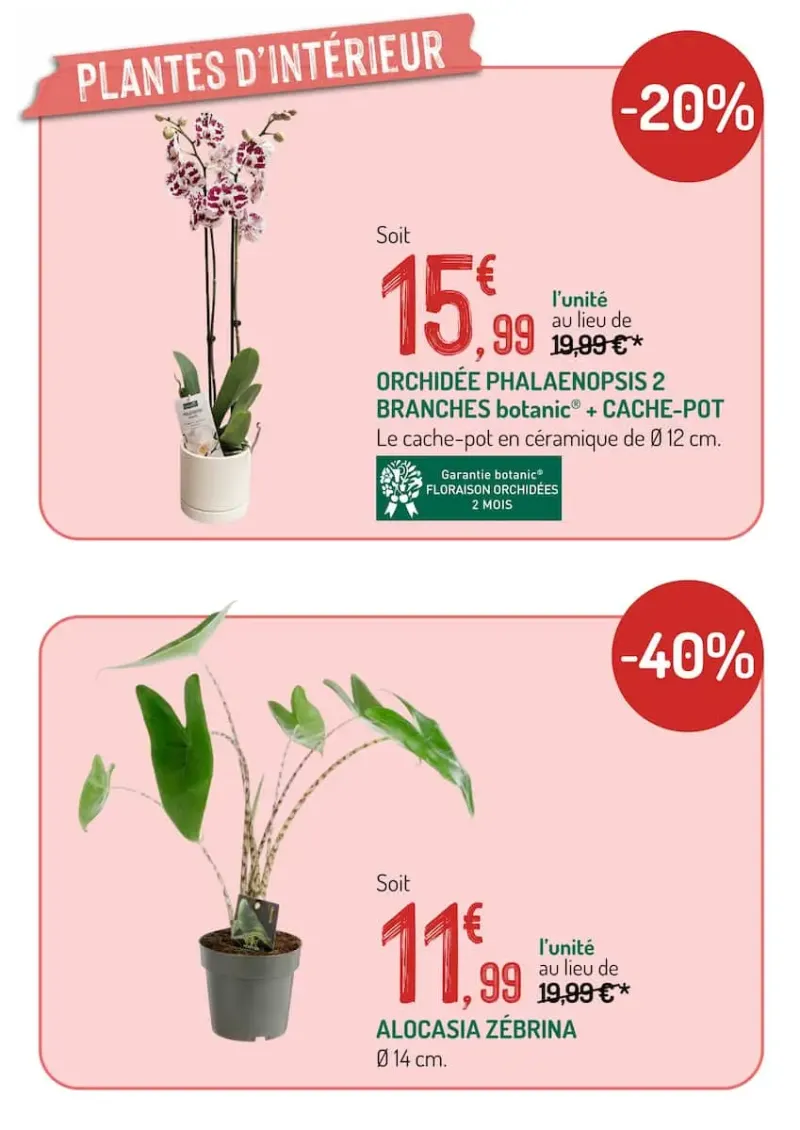 Botanic catalogue du 21/08 au 04/09/2026 – page 11