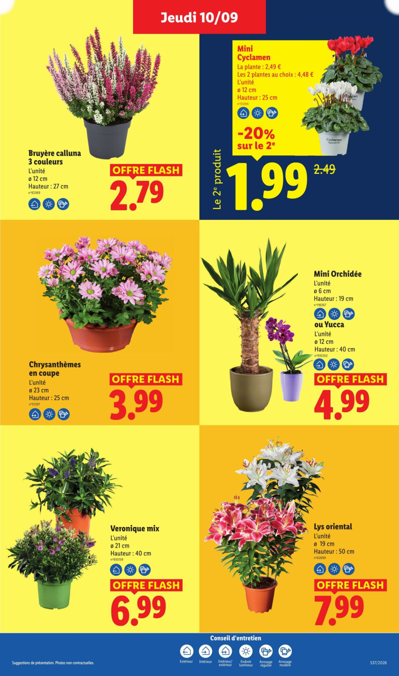 Lidl catalogue du 06/09 au 17/09/2026 – page 49
