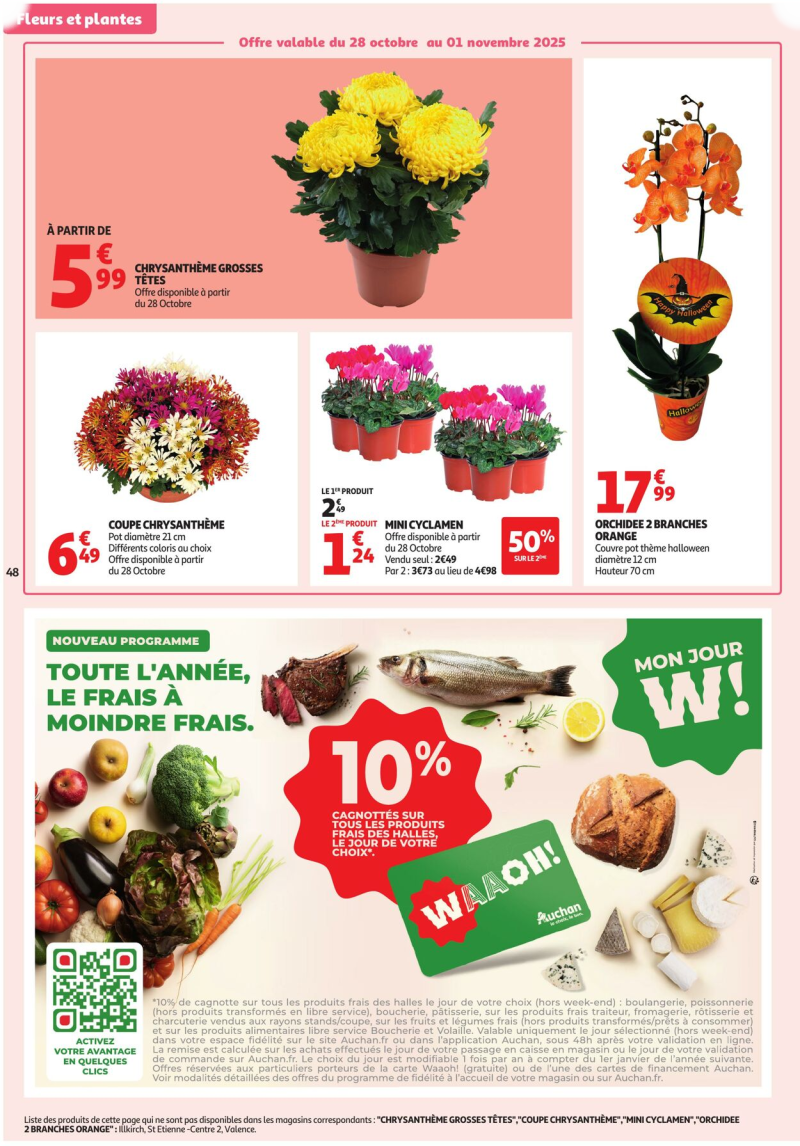 Auchan catalogue du 28/10 au 10/11/2025 – page 48