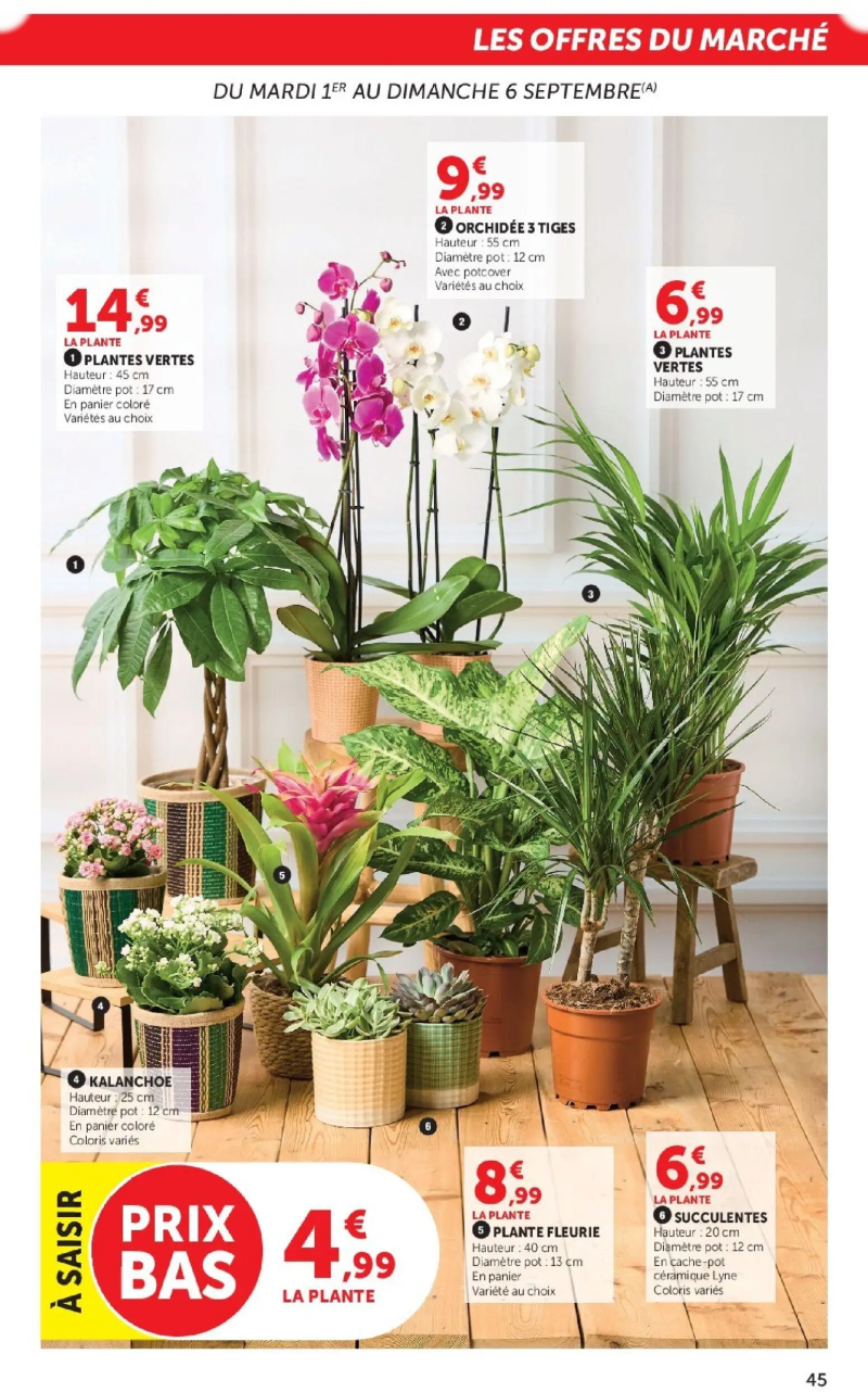 Super U catalogue du 01/09 – page 45