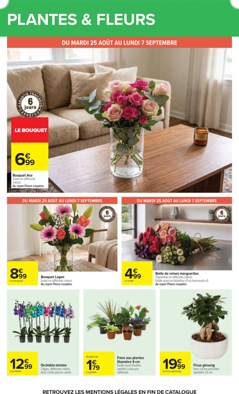 Carrefour catalogue du 24/08 – page 66