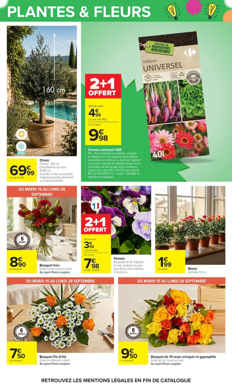 Carrefour catalogue du 15/09 au 29/09/2026 – page 83