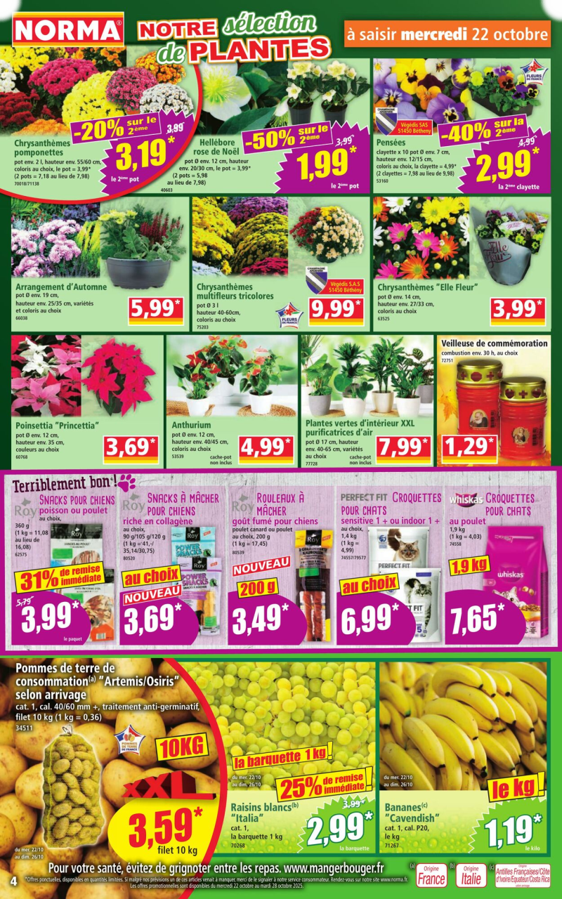 Norma catalogue du 22/10 au 29/10/2025 – page 4