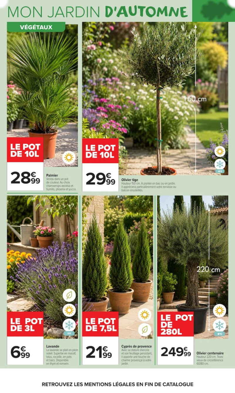 Carrefour Market catalogue du 22/09 au 12/10/2026 – page 3