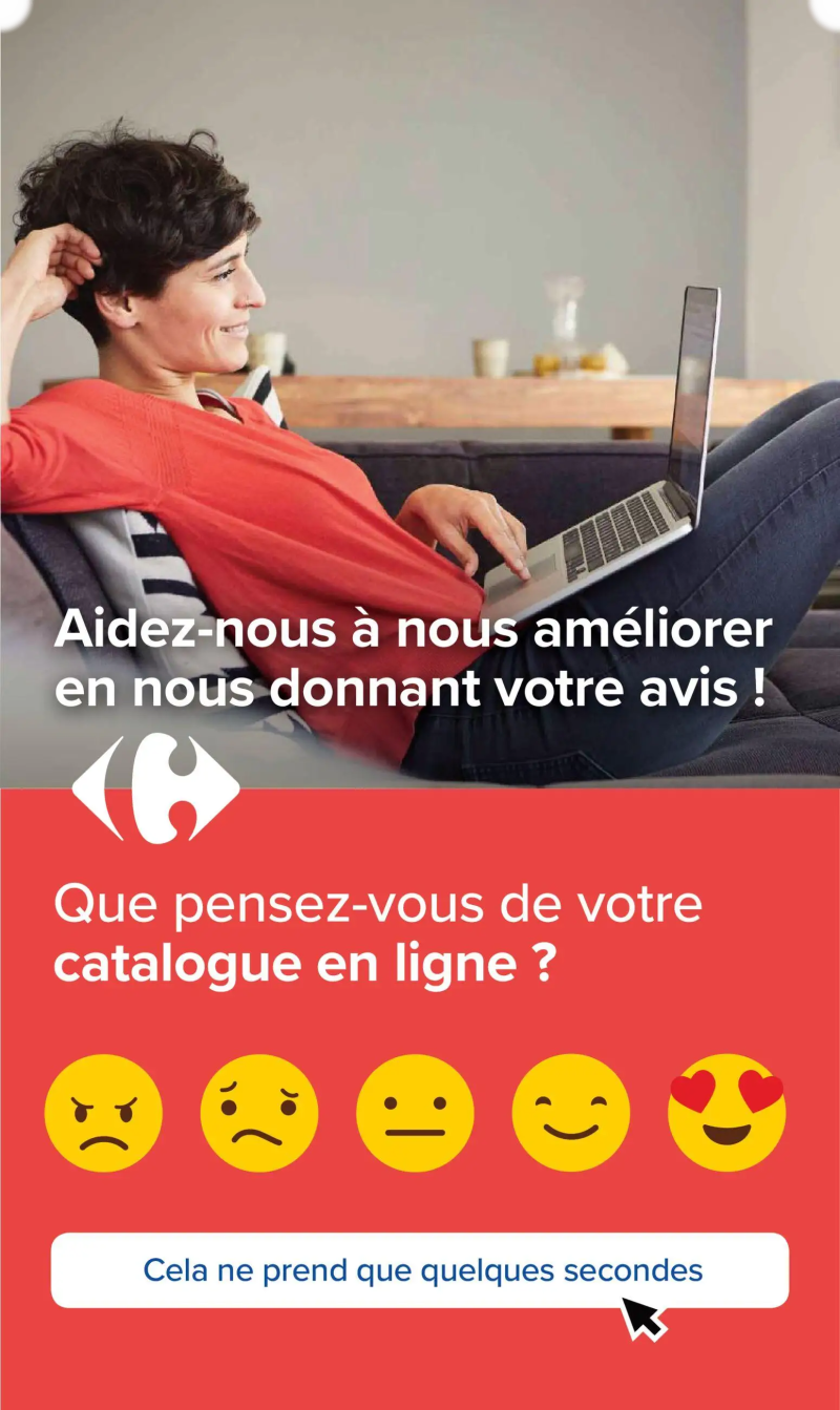 Carrefour catalogue du 08/09 – page 101