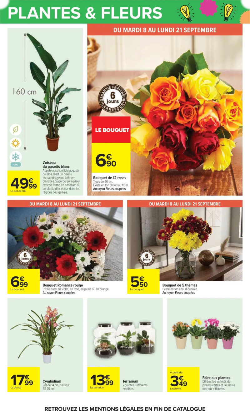 Carrefour catalogue du 08/09 – page 63