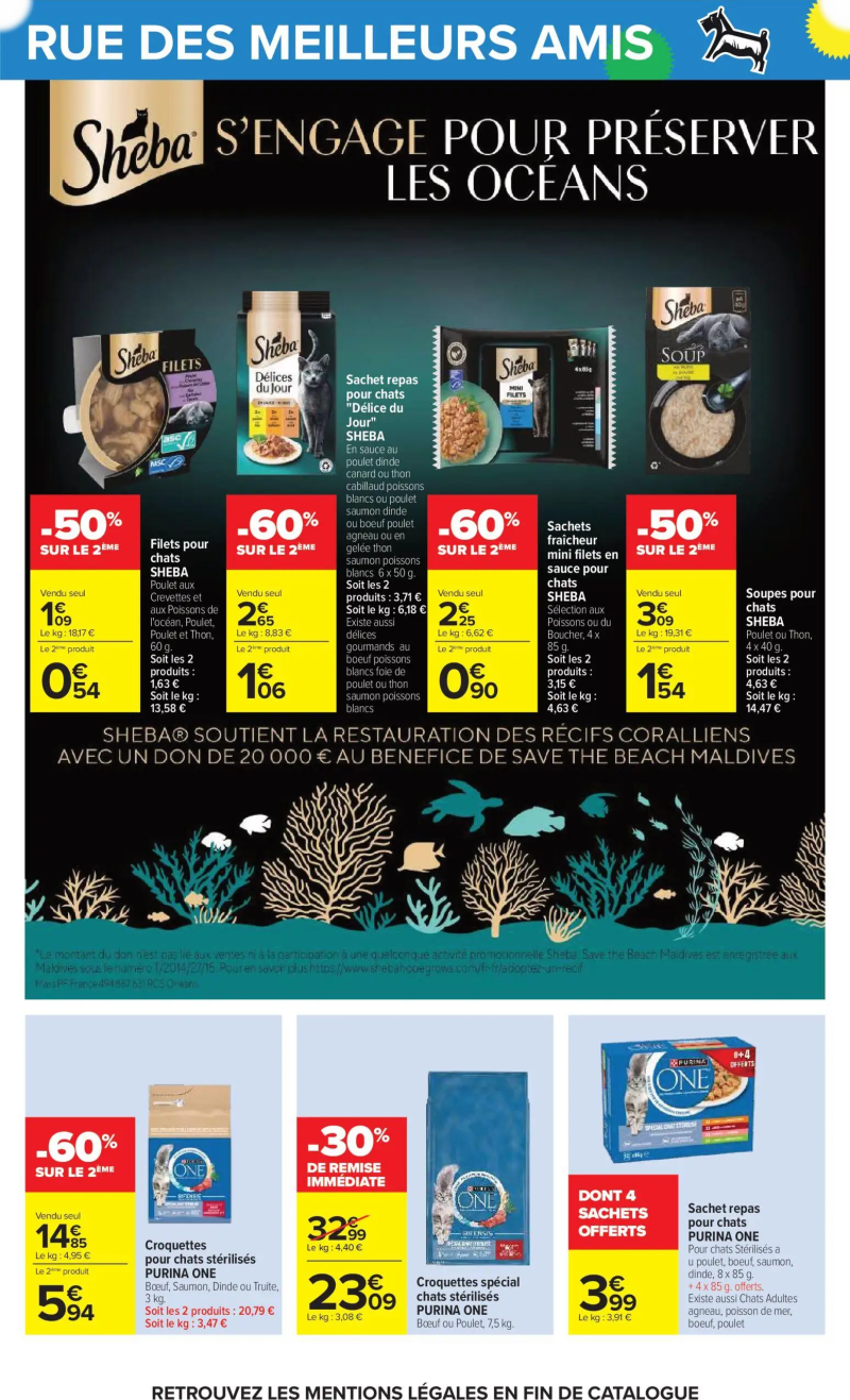 Carrefour catalogue du 08/09 – page 62