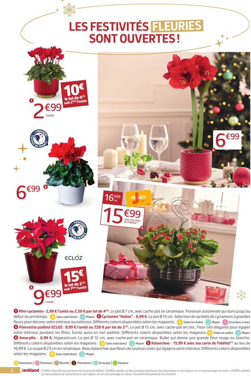 Jardiland catalogue du 11/12 au 01/01/2026 – page 2