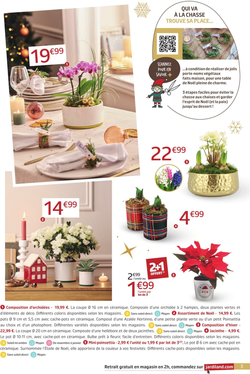 Jardiland catalogue du 11/12 au 01/01/2026 – page 3