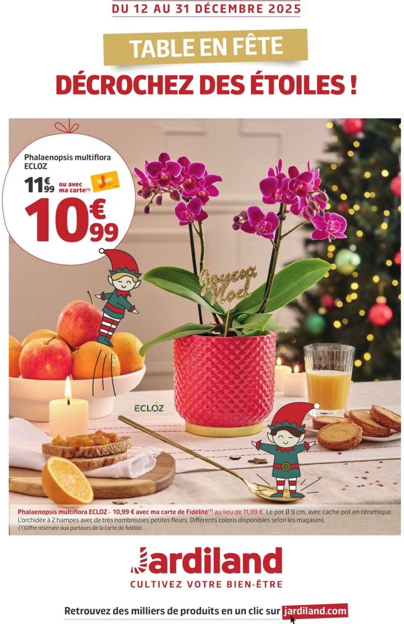 Jardiland catalogue du 11/12 au 01/01/2026 – page 1