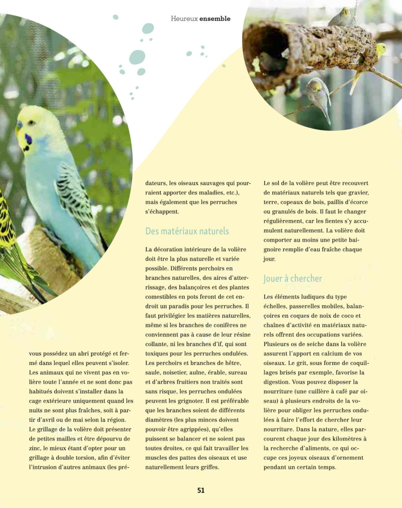Maxi Zoo catalogue du 01/09 au 01/10/2025 – page 51