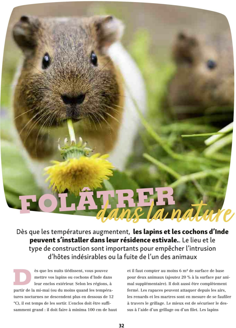 Maxi Zoo catalogue du 01/09 au 01/10/2025 – page 32