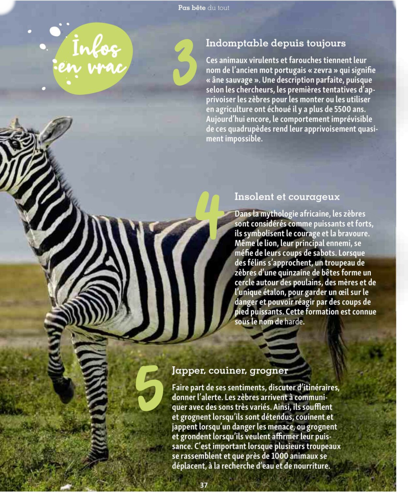 Maxi Zoo catalogue du 01/09 au 01/10/2025 – page 37