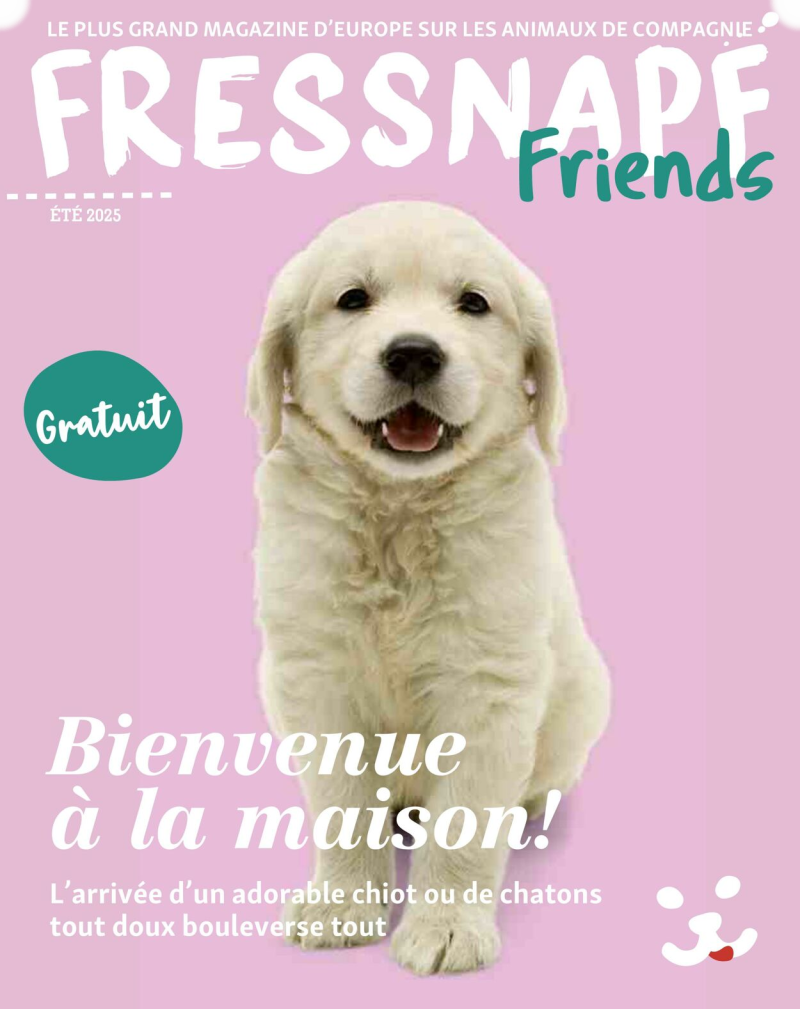 Maxi Zoo catalogue du 01/09 au 01/10/2025 – page 1