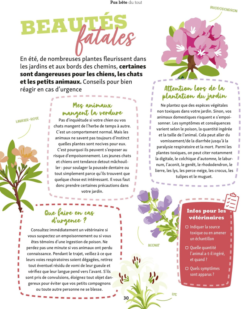 Maxi Zoo catalogue du 01/09 au 01/10/2025 – page 30