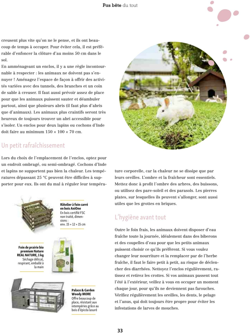 Maxi Zoo catalogue du 01/09 au 01/10/2025 – page 33