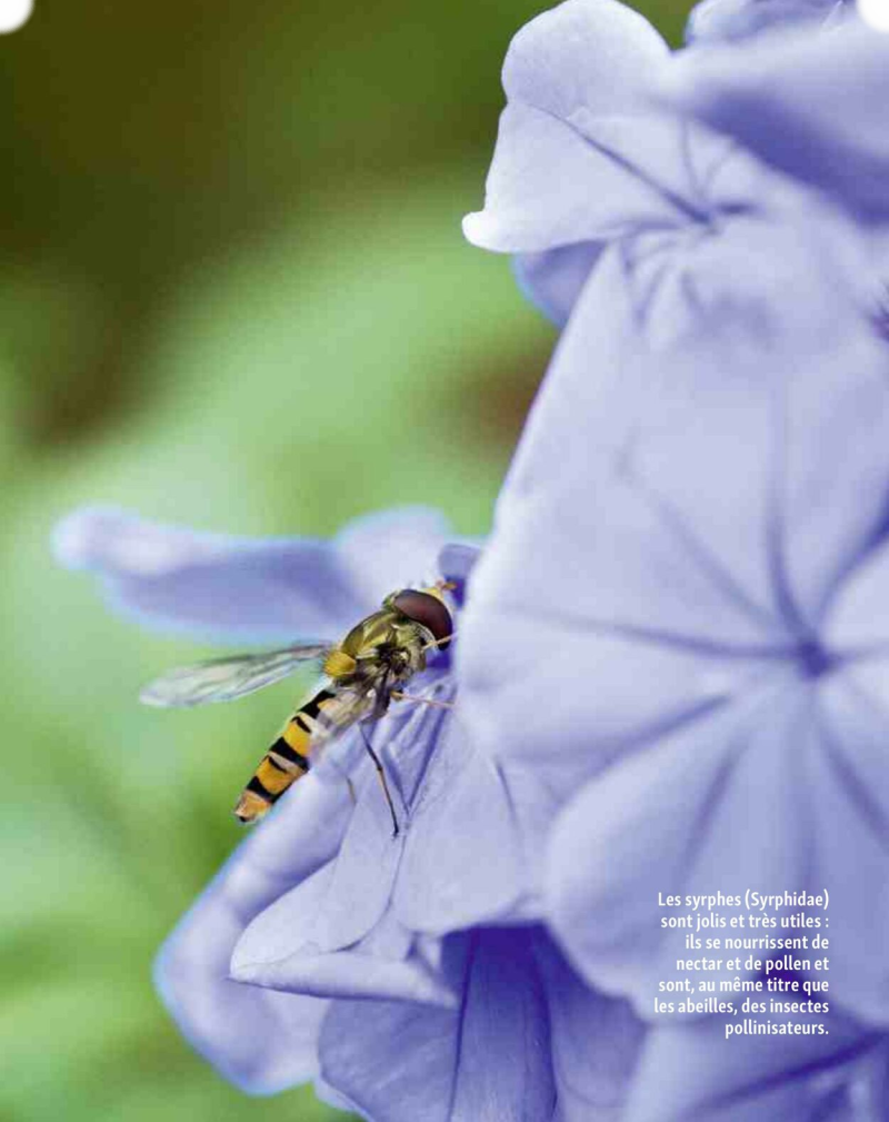 Maxi Zoo catalogue du 01/09 au 01/10/2025 – page 12