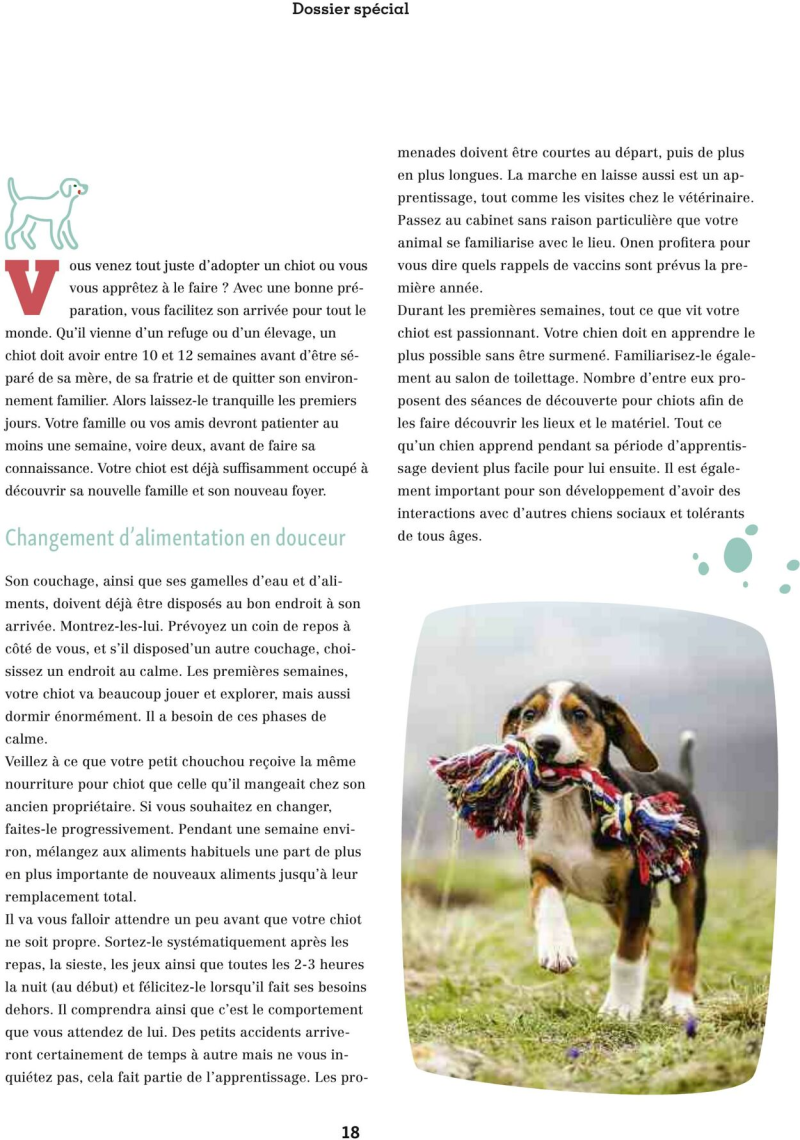 Maxi Zoo catalogue du 01/09 au 01/10/2025 – page 18