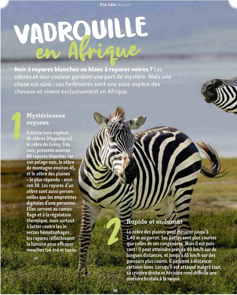 Maxi Zoo catalogue du 01/09 au 01/10/2025 – page 36