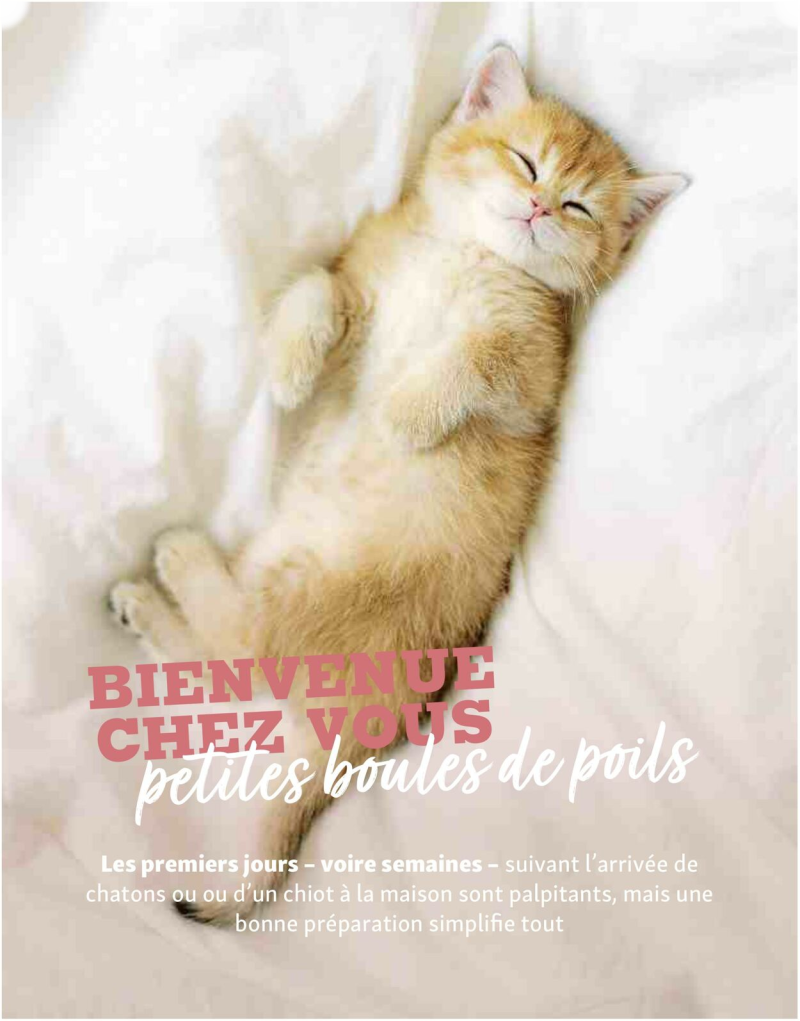 Maxi Zoo catalogue du 01/09 au 01/10/2025 – page 16