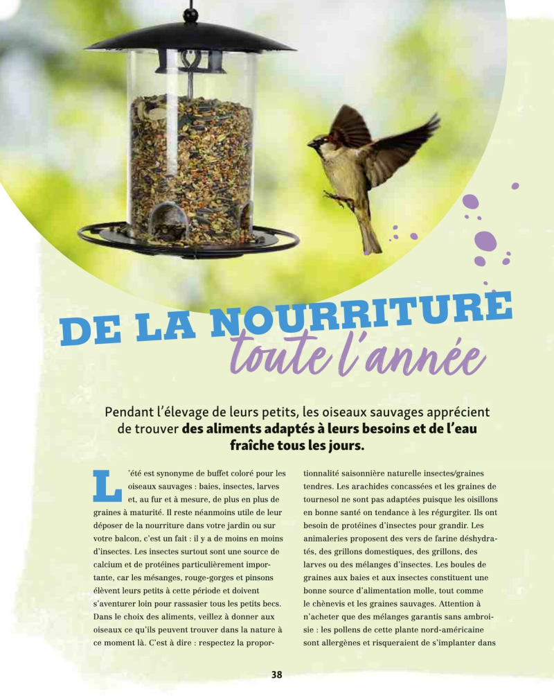 Maxi Zoo catalogue du 01/09 au 01/10/2025 – page 38