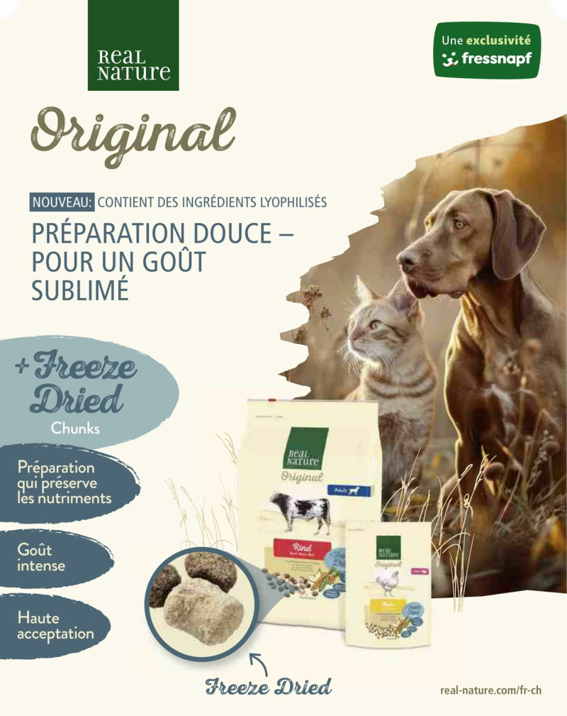 Maxi Zoo catalogue du 01/09 au 01/10/2025 – page 2