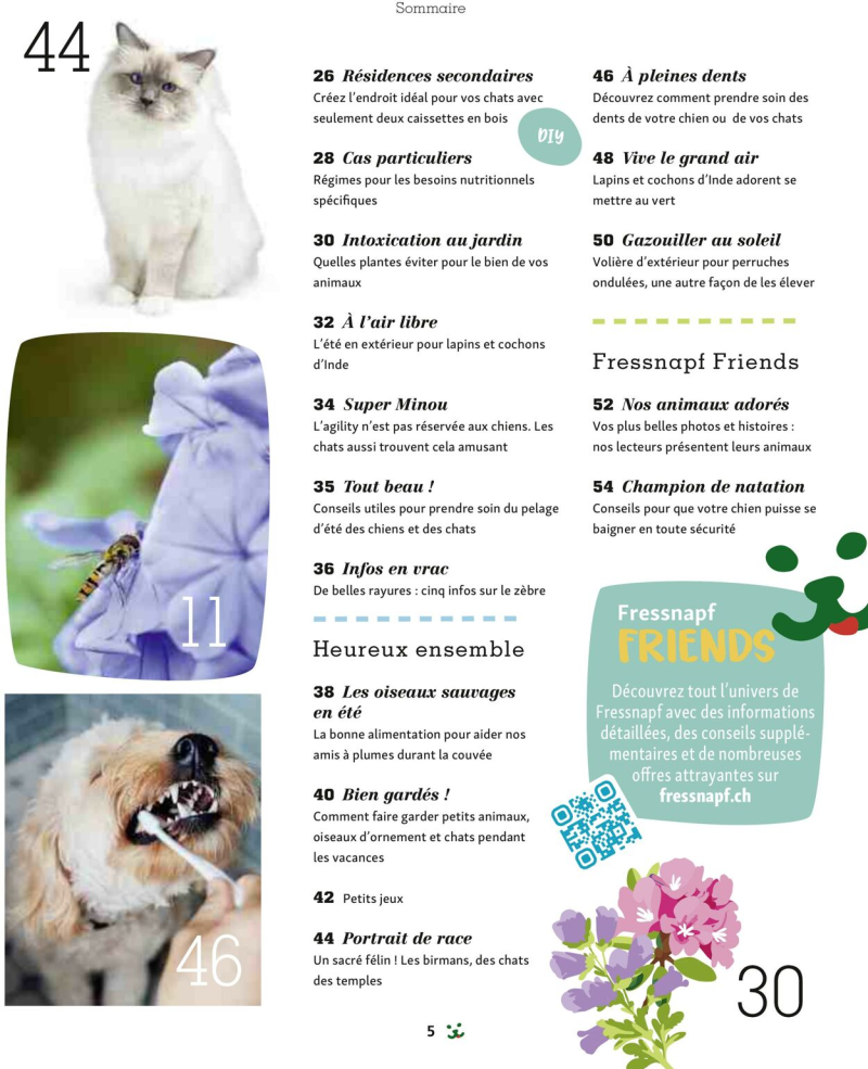 Maxi Zoo catalogue du 01/09 au 01/10/2025 – page 5