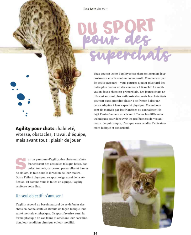 Maxi Zoo catalogue du 01/09 au 01/10/2025 – page 34