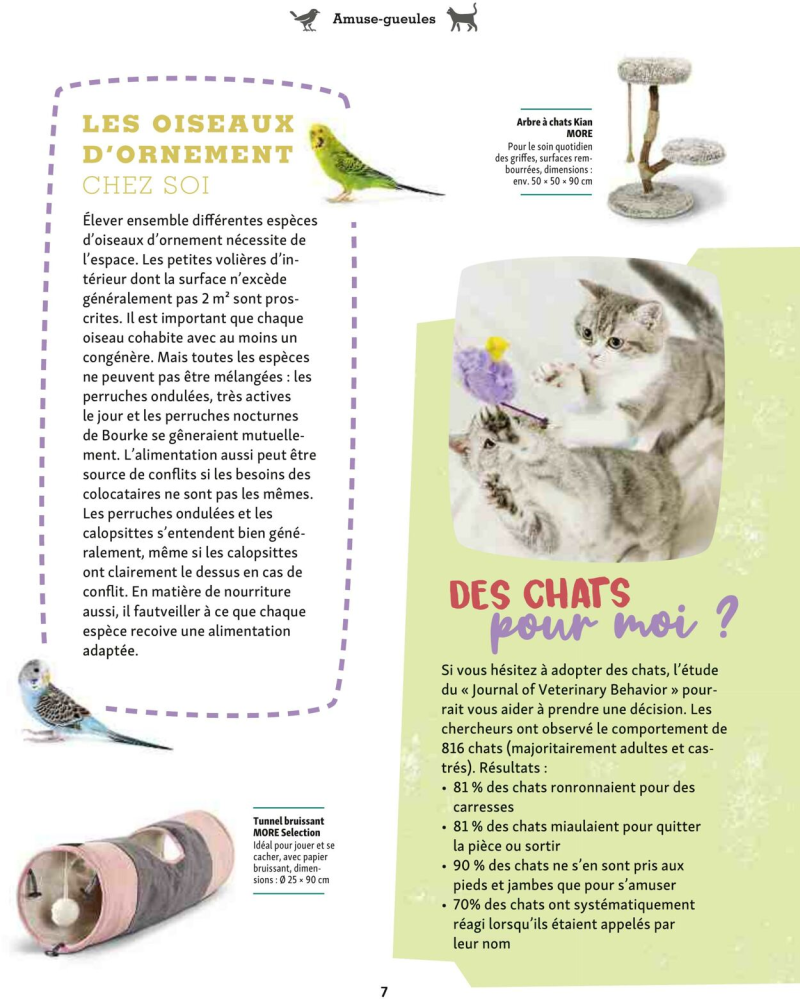 Maxi Zoo catalogue du 01/09 au 01/10/2025 – page 7