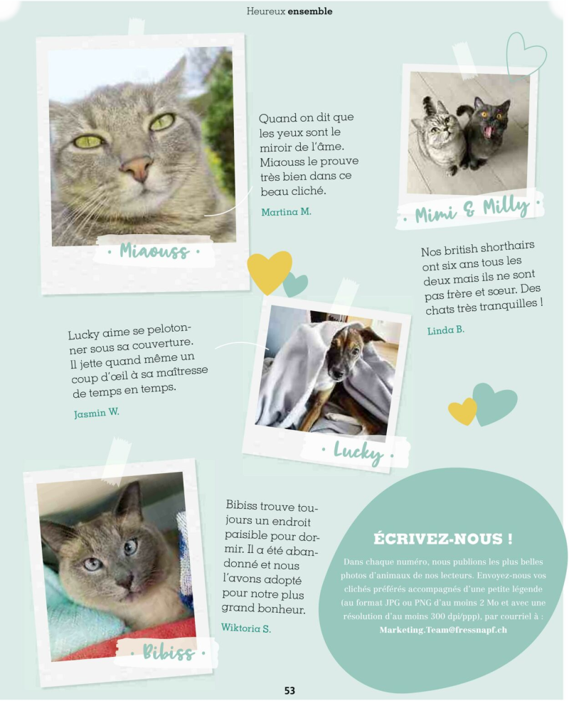 Maxi Zoo catalogue du 01/09 au 01/10/2025 – page 53