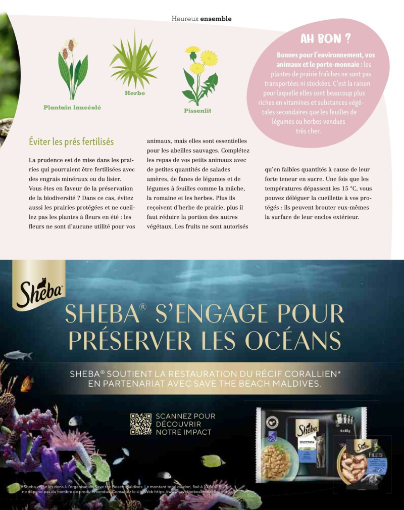 Maxi Zoo catalogue du 01/09 au 01/10/2025 – page 49