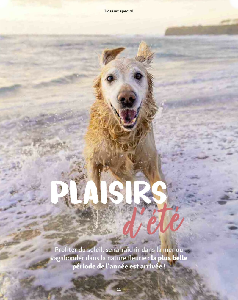 Maxi Zoo catalogue du 01/09 au 01/10/2025 – page 11