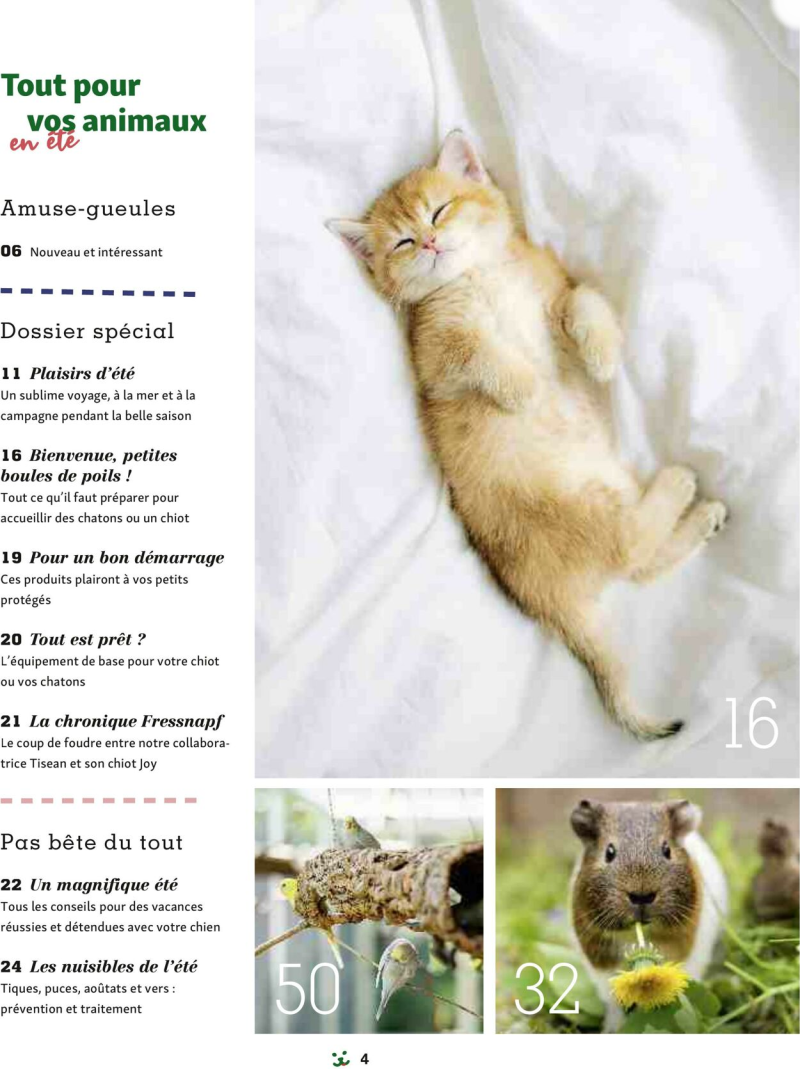 Maxi Zoo catalogue du 01/09 au 01/10/2025 – page 4
