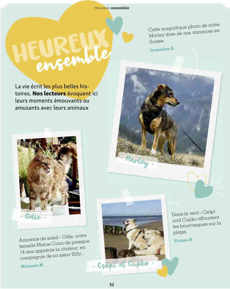Maxi Zoo catalogue du 01/09 au 01/10/2025 – page 52