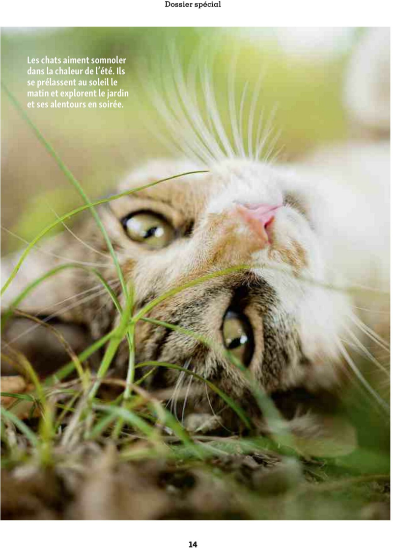 Maxi Zoo catalogue du 01/09 au 01/10/2025 – page 14